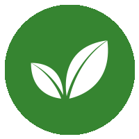 Vegetarische Spezialitäten